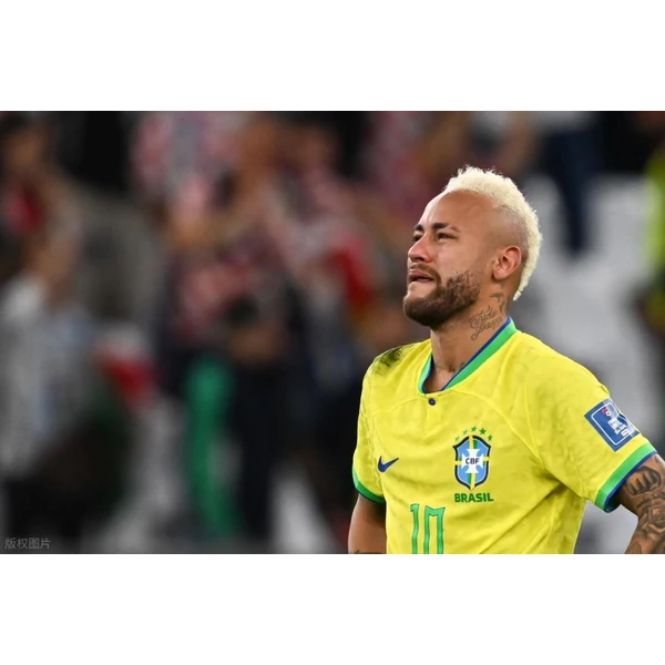 entry-2026-fifa.com APP（worldcup）